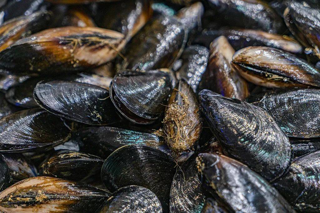 淡菜有毒近期爱吃海鲜的你要注意了