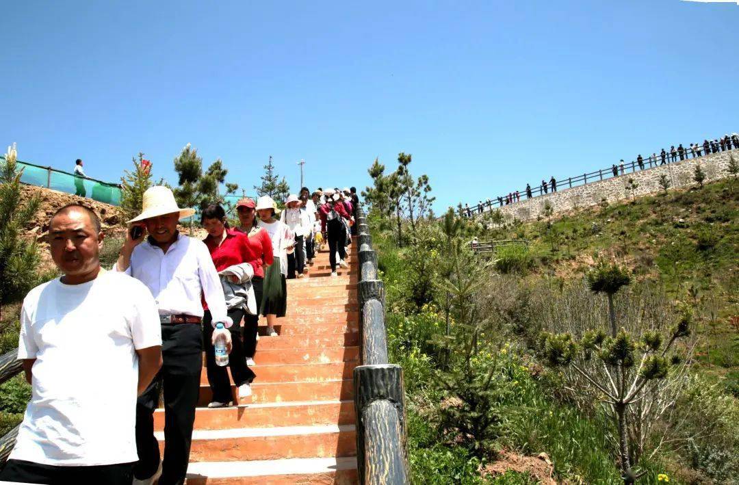 五一黄金周第一天2万人畅游武山油菜花海
