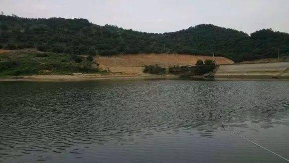 春去夏来 记住这5钓5不钓 鱼儿
