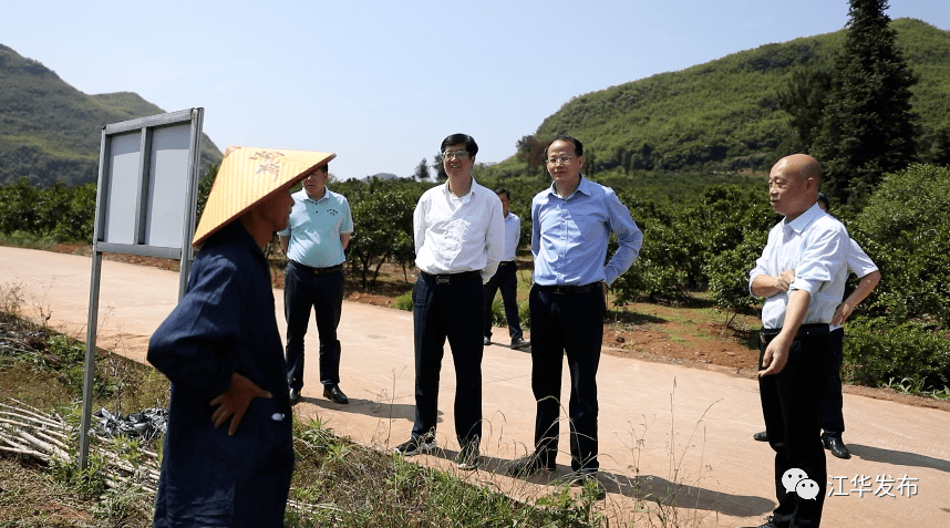 罗建华调研黄龙病防治工作