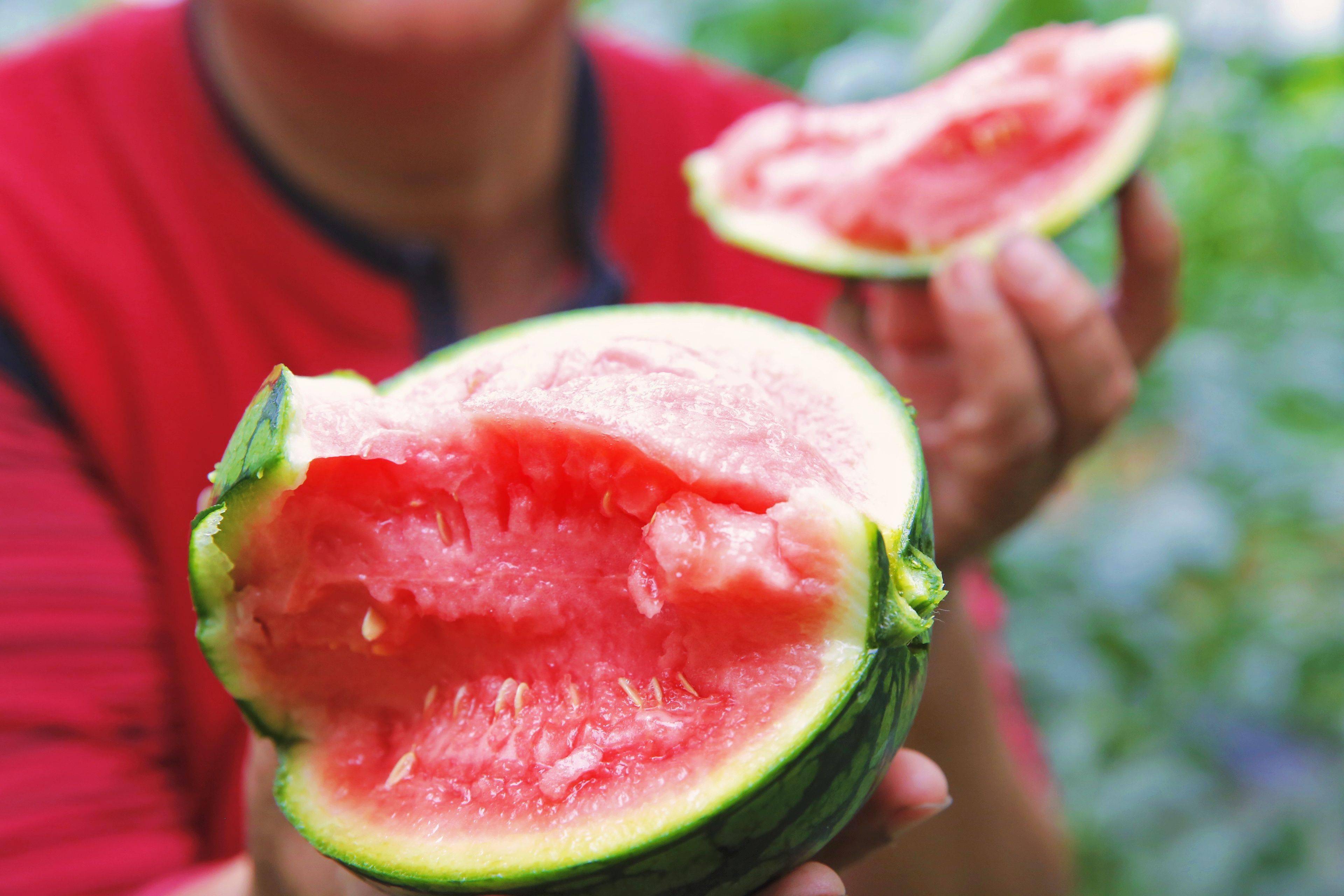 平谷西柏店"两款"袖珍西瓜"五一"成熟上市