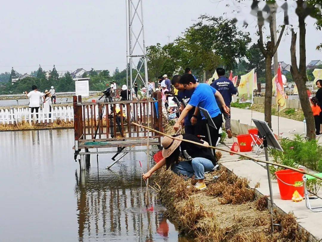 海盐县第三届稻田龙虾文化节精彩预热钓龙虾大赛等你来报名