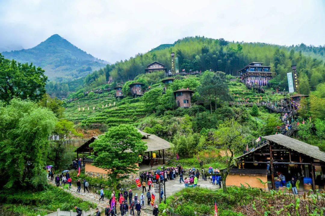 春游丽水:景宁有一条"红绿畲"路线送给你_畲族风情