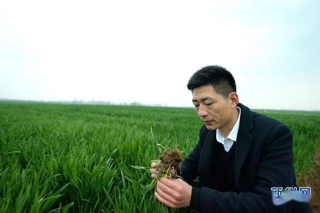 农村基层治理正青春河南新任90后村支书群像扫描