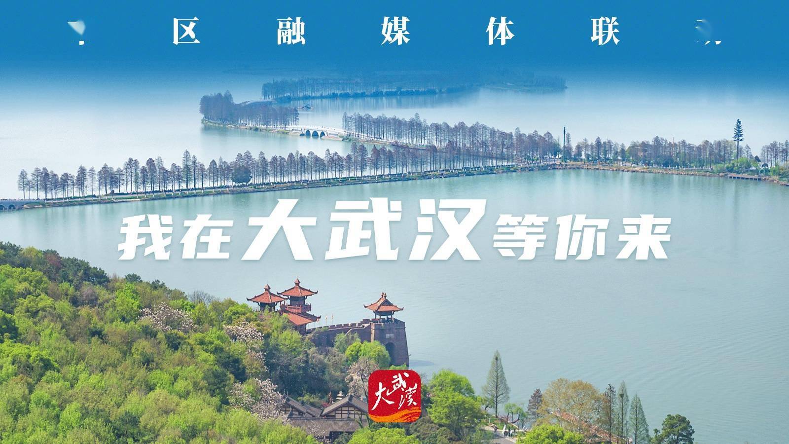 武汉免费设计网站建设哪家便宜 来自搜狐网