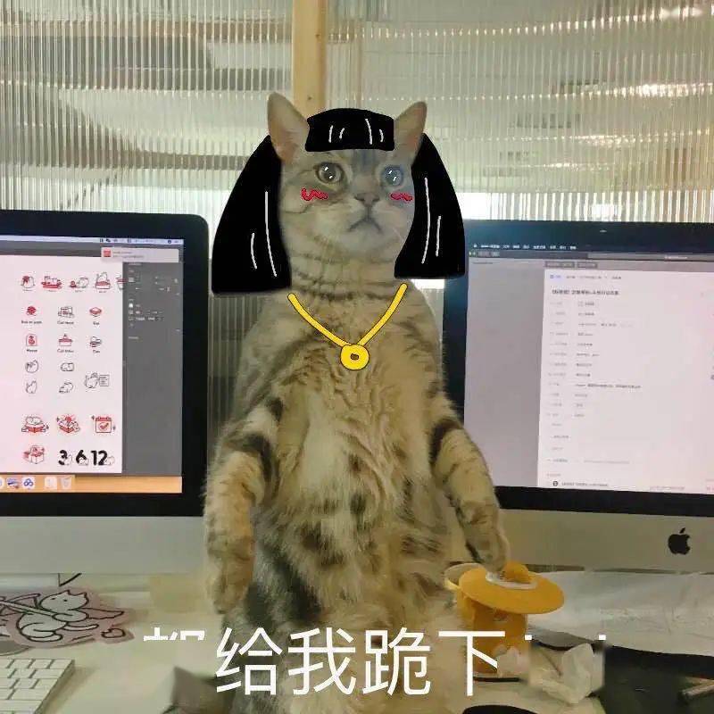 ff92d629ff6349bca7182b3c846ed34e.jpeg