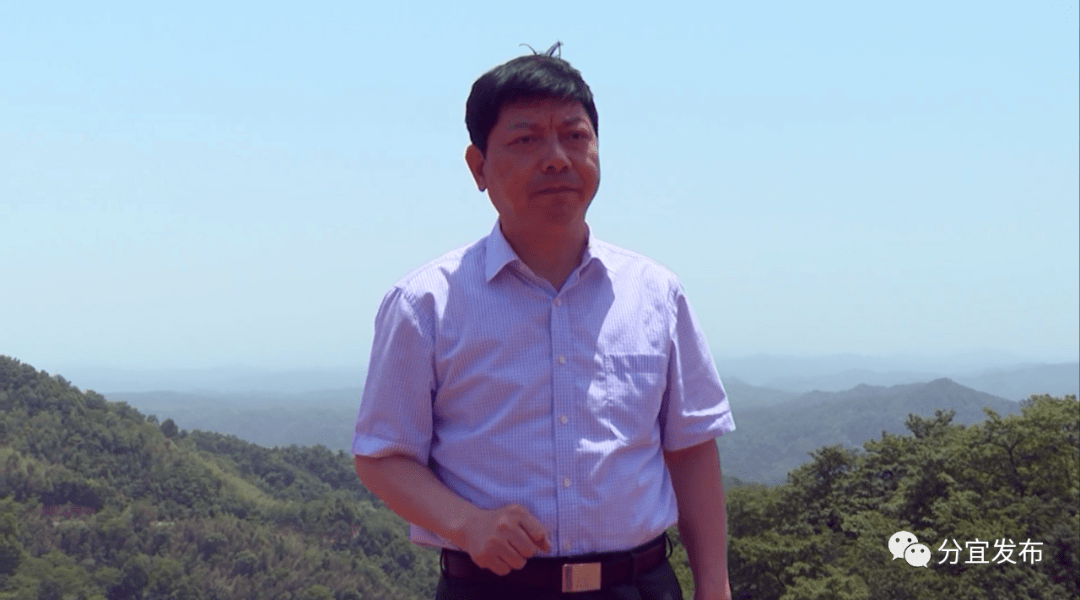 分宜县委书记李逸翔督导调研中央生态环境保护督察问题整改工作