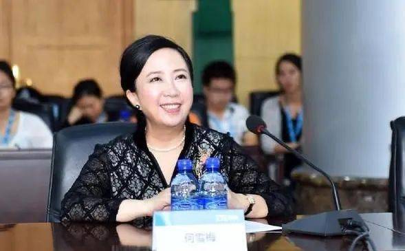 中兴"霸道女总裁",吃下了50片安眠药…_何雪梅