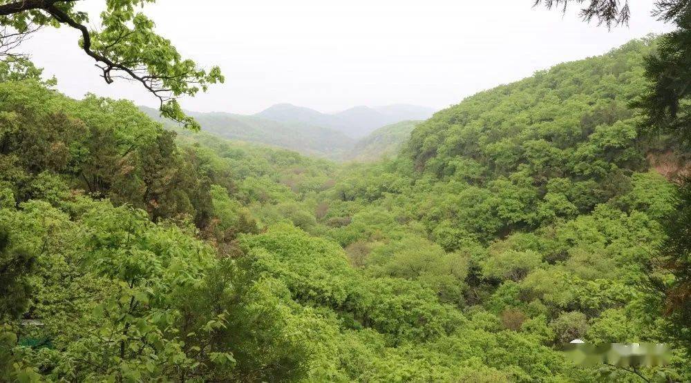 延安这个休闲避暑的好地方,五一假期你打卡了吗?_劳山