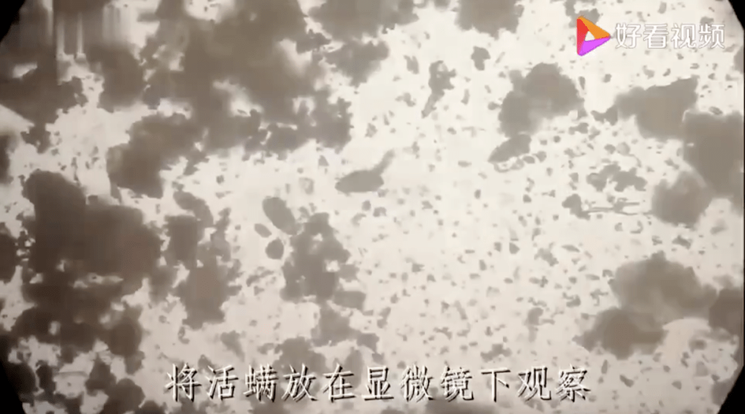 ec20695527c74cb183ea3846977c1ffe.png