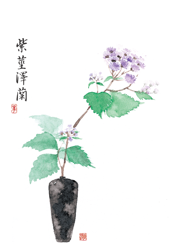 枝什么花落成语_成语故事简笔画