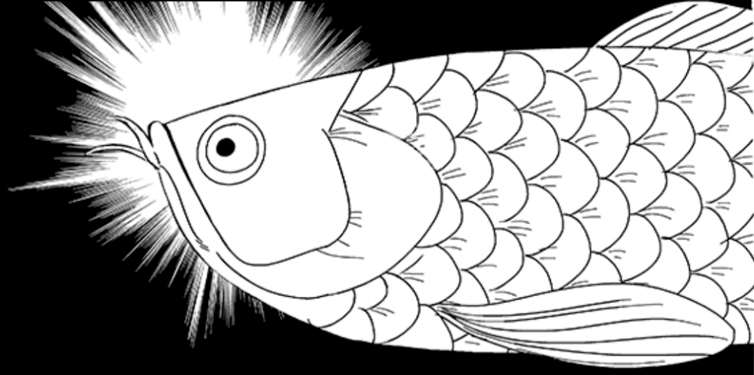 这条"灵光一闪的银龙鱼"?