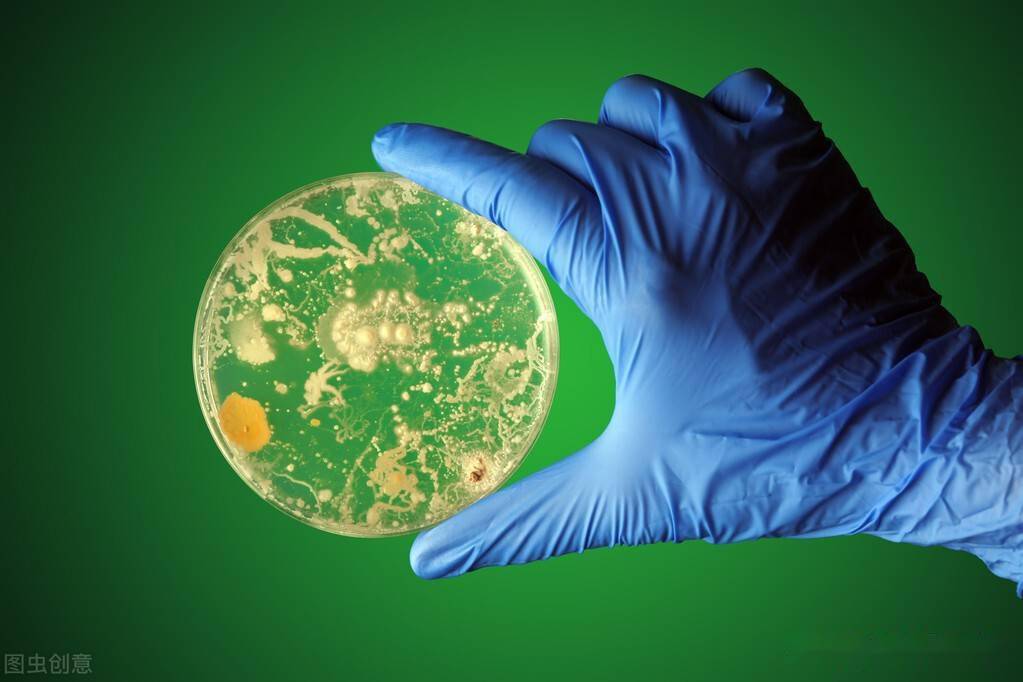 下一场农业革命的突破口在哪里?微生物,一个神秘的角色浮出水面