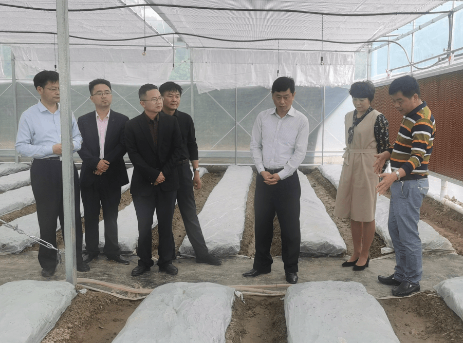 蔡绪安到乘马岗镇开展综合调研督导