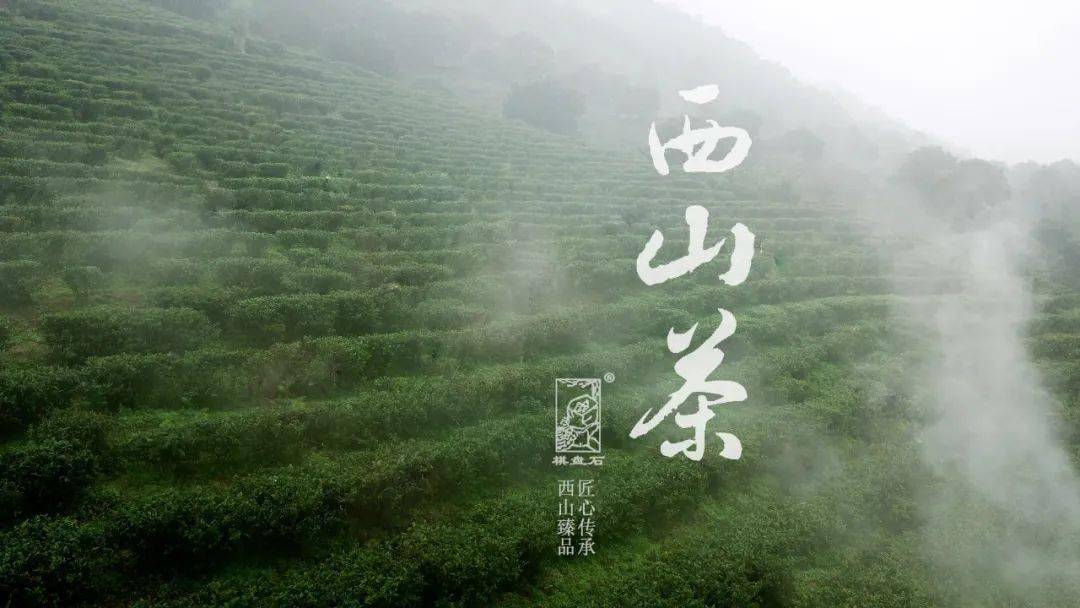 西山茶,一直供不应求,它的特点是条索紧结匀称,锋苗显露,汤色清澈明亮