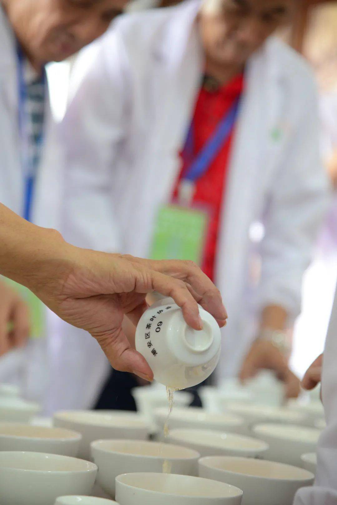 凤凰茶排行_来咯!凤凰茶评比会_茶叶协会