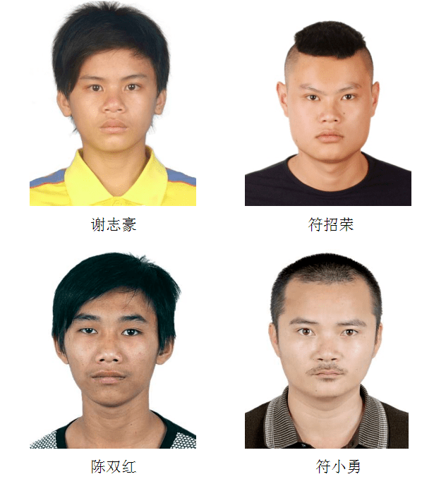 见到这几个人请马上报警海南警方悬赏通缉涉黑逃犯