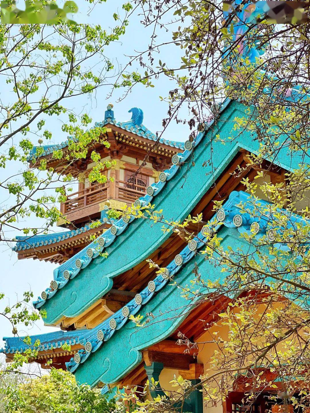 行旅南京金陵小城又一处繁华景