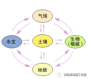 热门考点从自然地理环境的整体性看地理要素之间的基本联系总结一文给