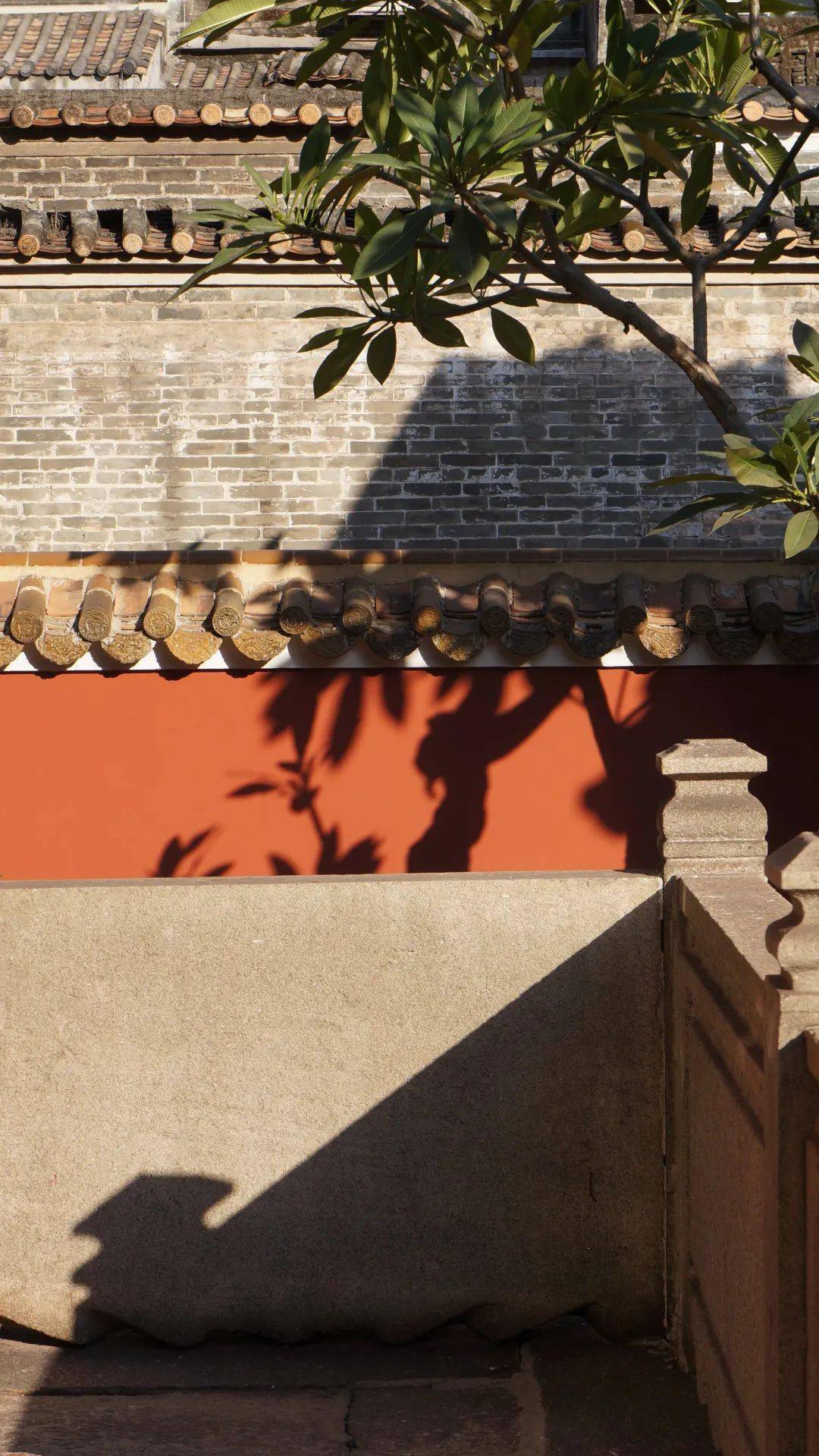 刷爆屏广州故宫同款红墙太美了你们去过了吗