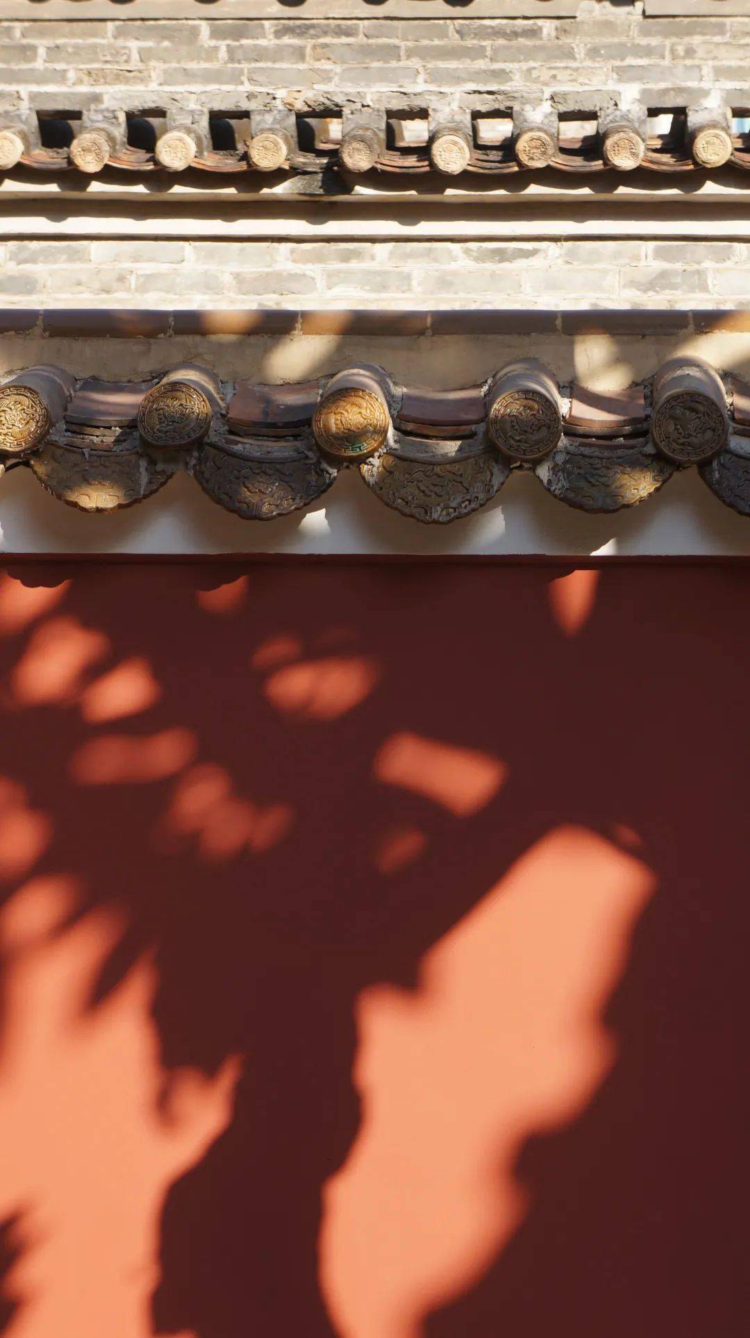 刷爆屏广州故宫同款红墙太美了你们去过了吗