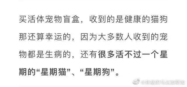 新闻传媒论变相的宠物盲盒对生命的无视