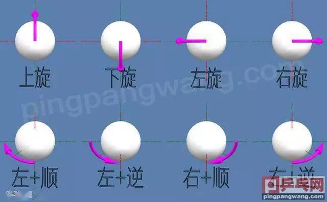 乒乓球旋转种类知多少,24类有效旋转,无数种旋转