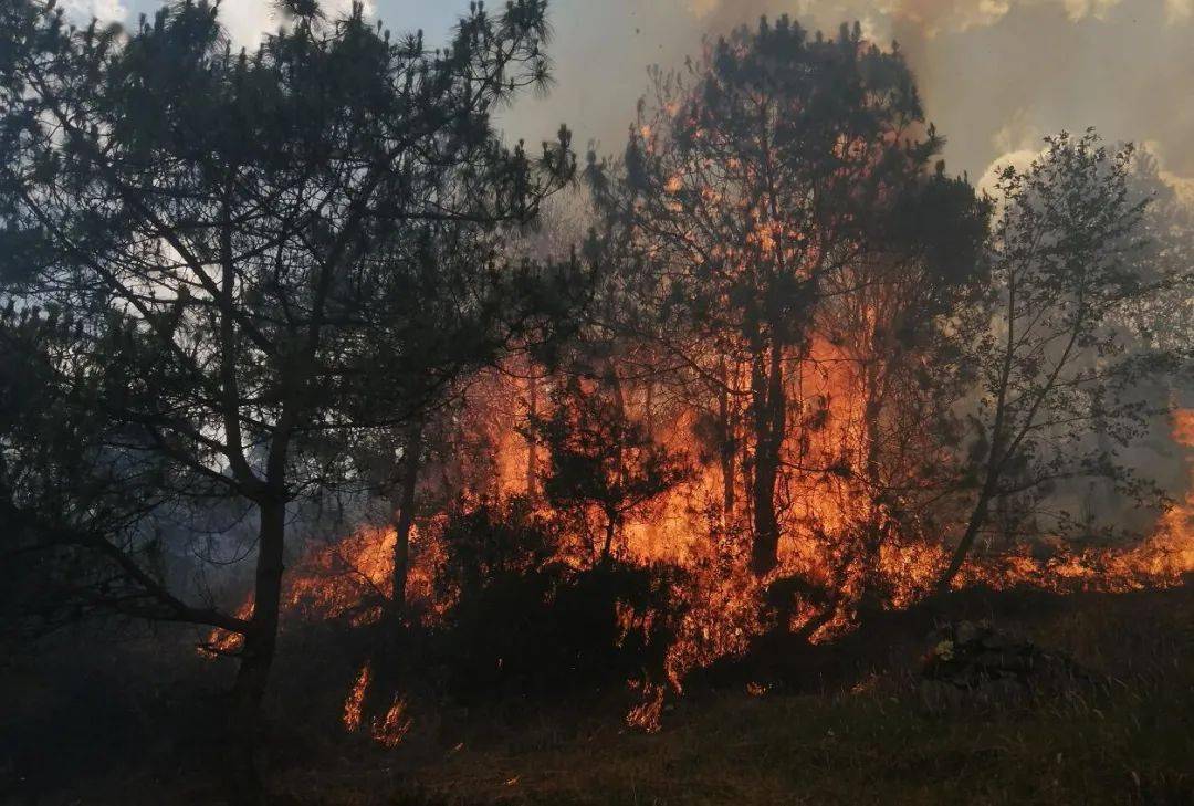 【森林防灭火】云南大理湾桥森林火灾今晨被扑灭 2532人及直升机参与