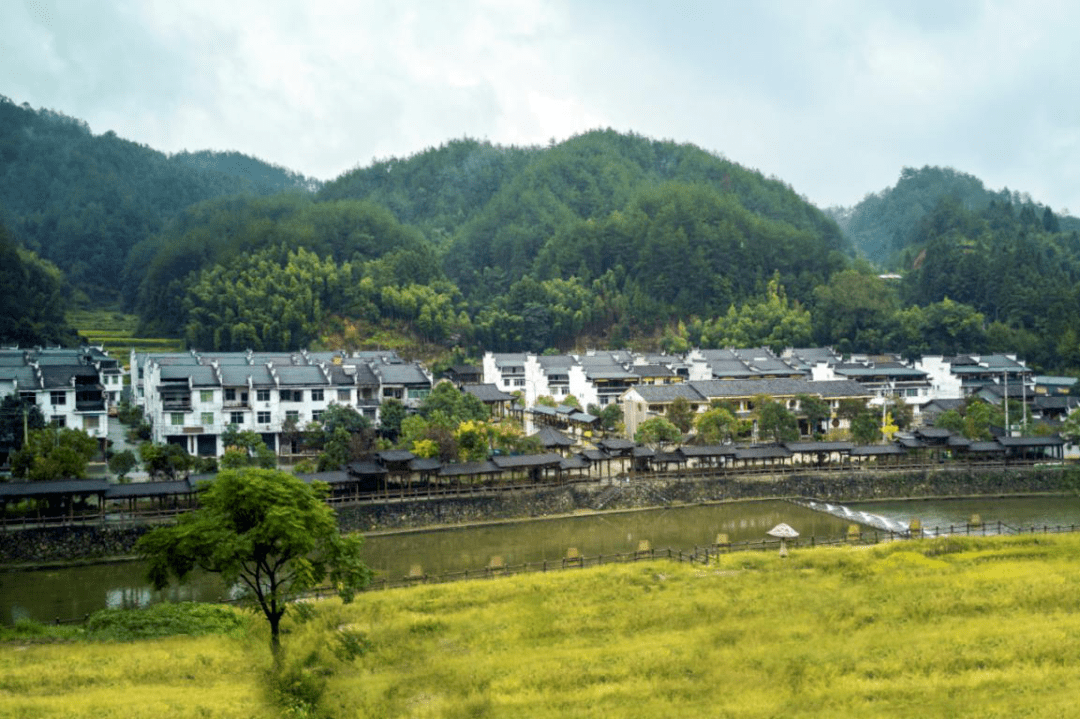 泰宁县上青乡:深化文明创建 助力乡村振兴_发展