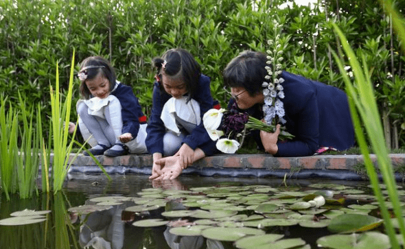 跟着海妈,学种花,去过被花园照亮的理想生活_海蒂