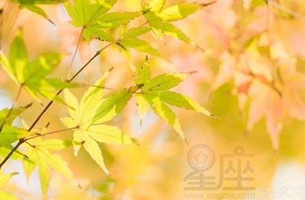 什么是水生木 ae502d85a1c24745a412e033db21d1f1.jpeg