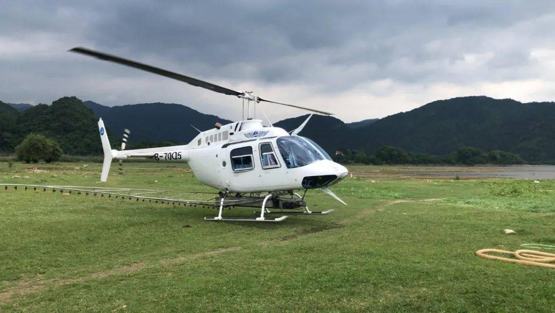 作业面积5万亩 我区开展飞机喷药防治松材线虫病工作