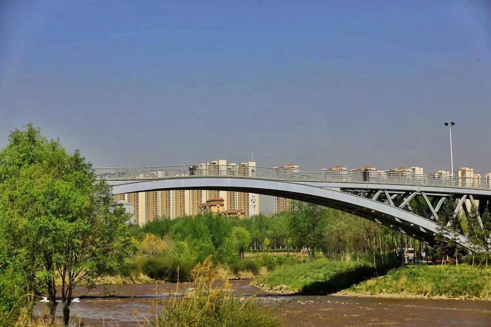 西宁湟水河湿地公园海棠花开美艳醉人