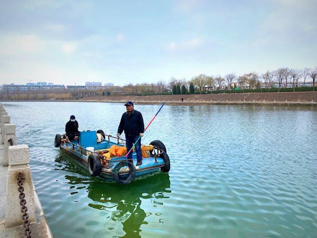 衡水市滏阳河市区段实施水草打捞清理