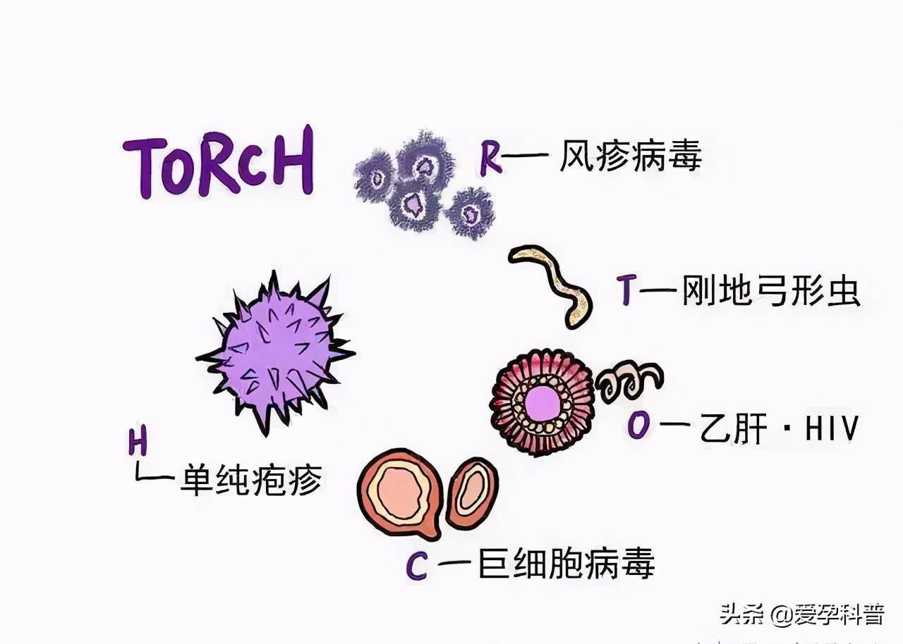 鉅細胞病毒和弓形體 igm 抗體陽性率分別為 0