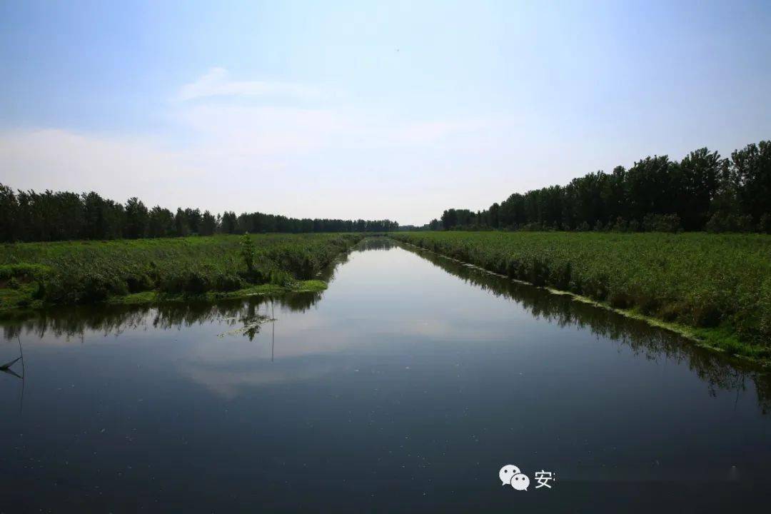 生态福地三汊河人与自然和谐共生湿地你我共同守护