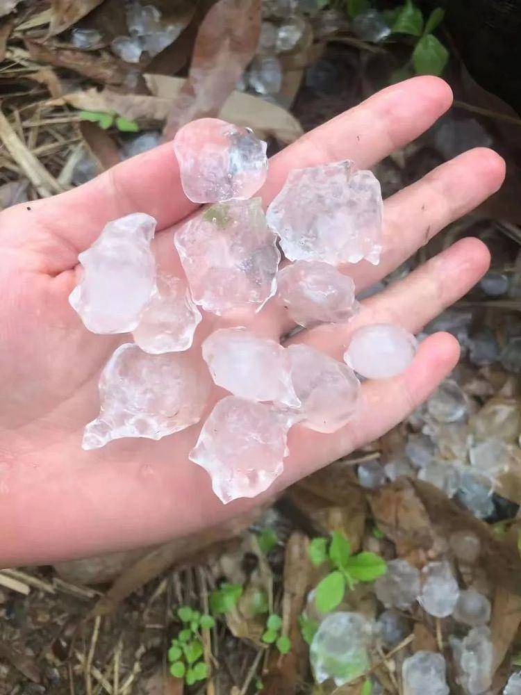 广东下冰雹?雷雨 大风即将来袭,番禺人一定要注意