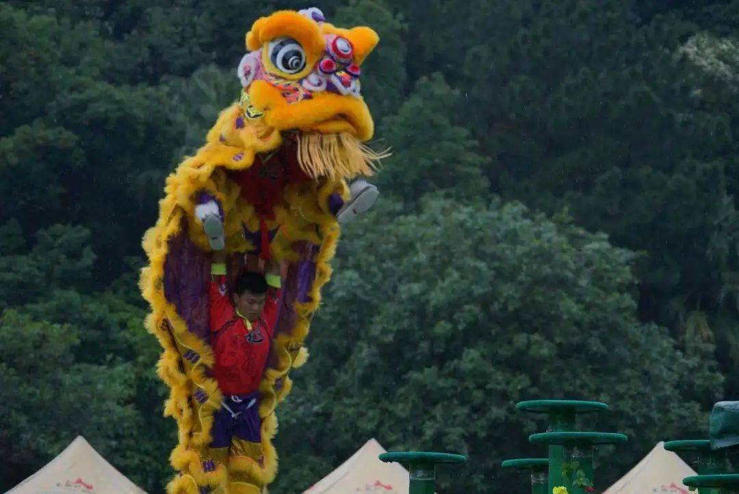 沙头汀根龙狮团又拿奖——在2021"黄飞鸿杯"全国南北狮王争霸赛上勇夺