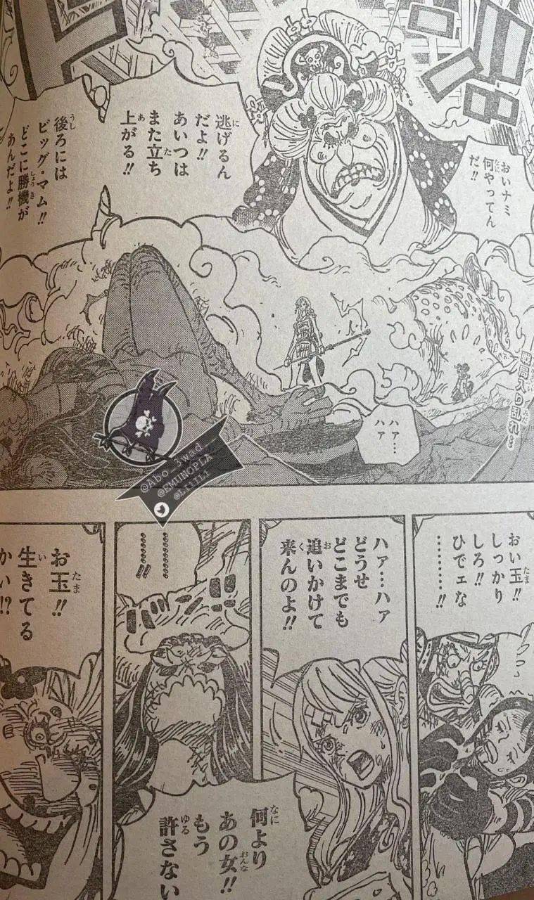 海贼王1013话超详细情报翻译全图