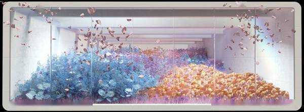 裸眼3d数字花园 绽放之窗 亮相广州白云和上海浦东及虹桥机场 旅客