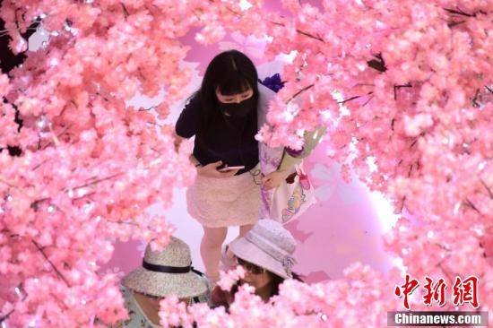 香港市民旺角观赏迪士尼限定 樱花 装饰