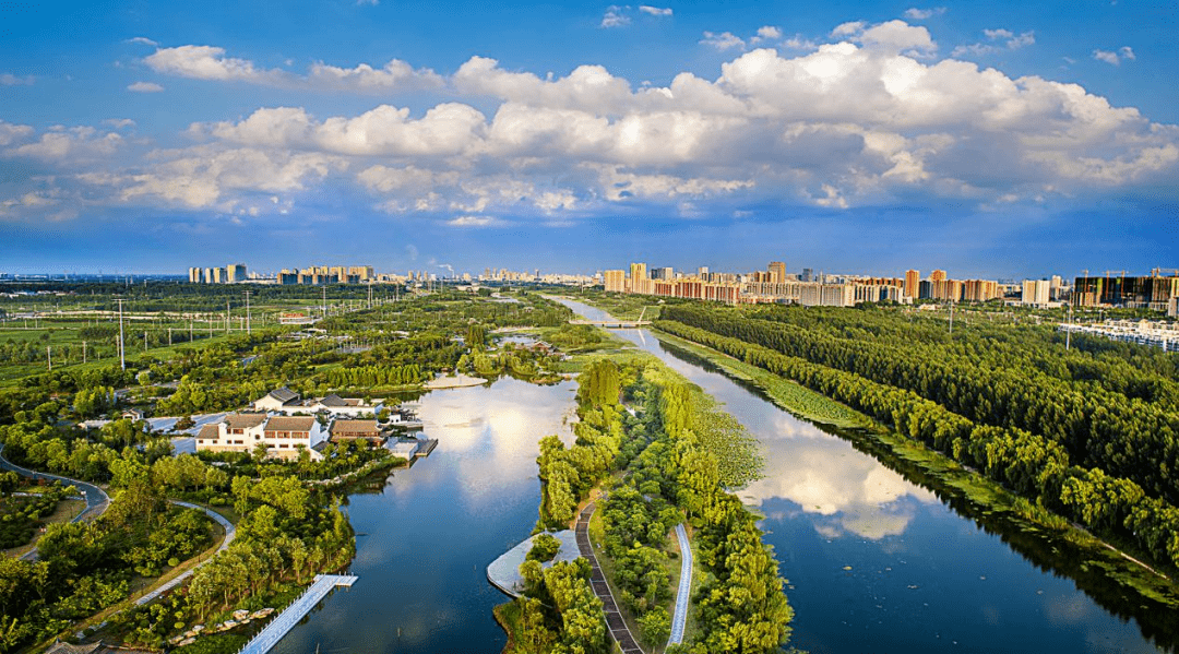 蔷薇花信五项措施助宿迁生物多样性保护迈上新台阶