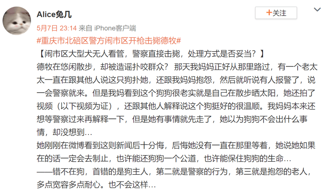 重庆德牧闹市"伤人",被警察连开八枪击毙,可网友却为德牧流泪!_壮壮