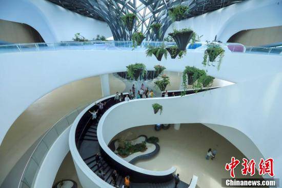 海外华文媒体走进四川天府新区关注打造未来经济新高地 美国