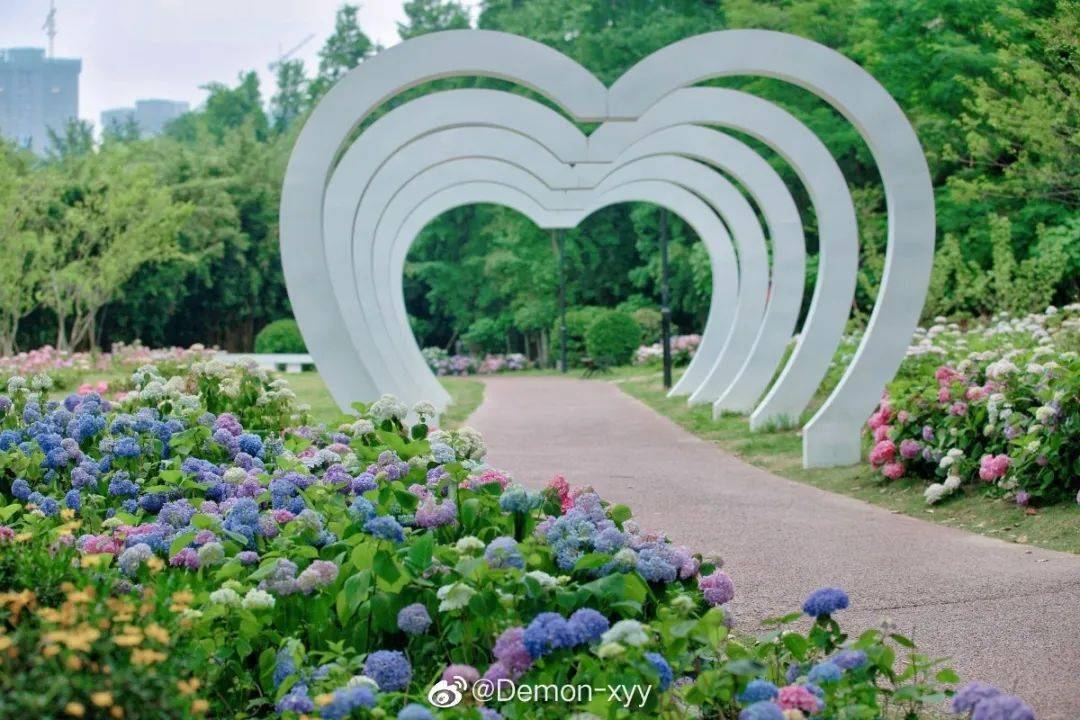 成都"绣球花海"来袭!70 品种,大多不要门票_公园