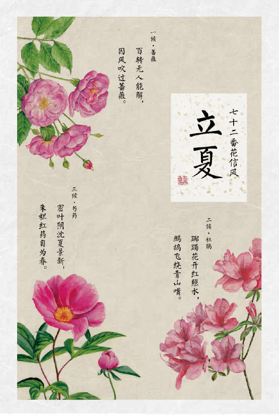 立夏先看什么花儿 | 一本书承包你的全年赏花需求