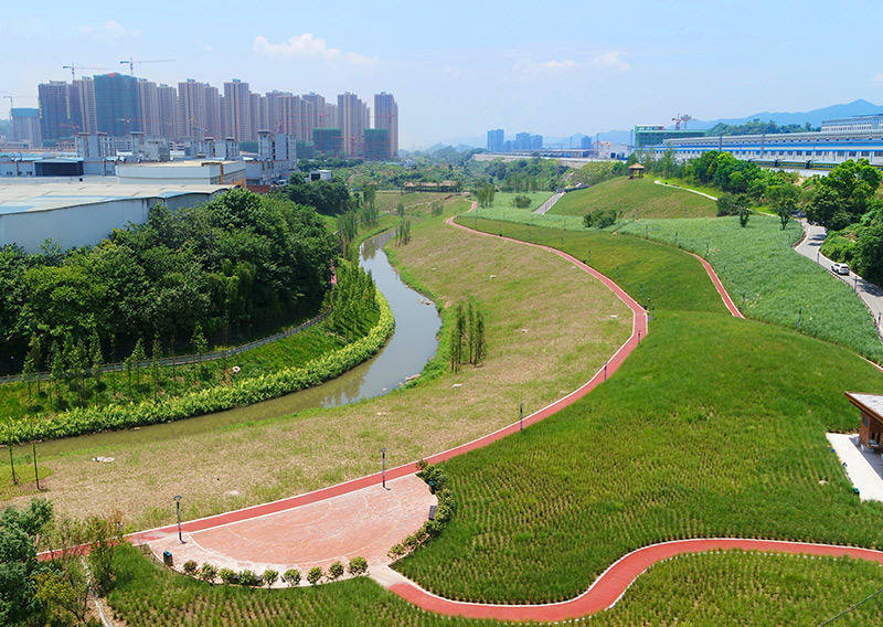 重庆市跳磴河石龙草海湾整治前.图片由受访者提供