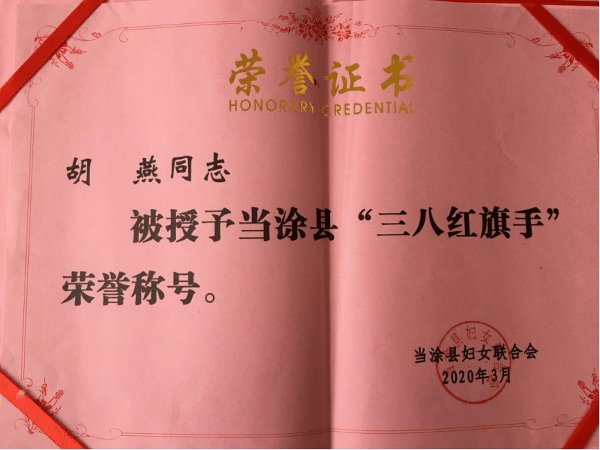 黄池镇优秀党代表风采展示录十三