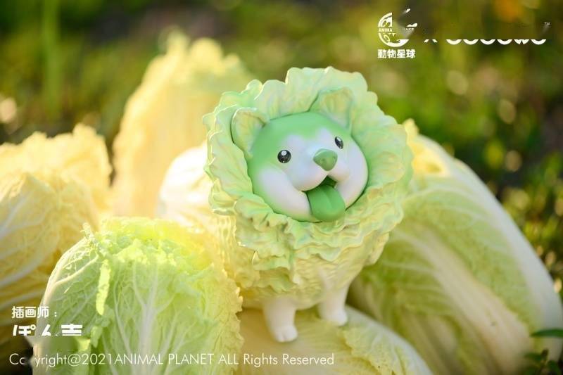 動物星球 dodowo %ud7 ぽん吉「 野菜精靈 白菜柴」塗裝完成品,以 ぽ