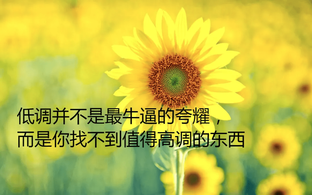 3d450a9665364d4aa3b09d12b3d23992.png